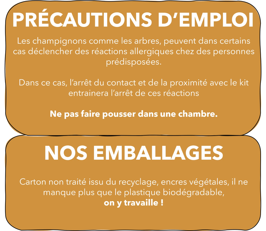 8.-Precaution-demploi