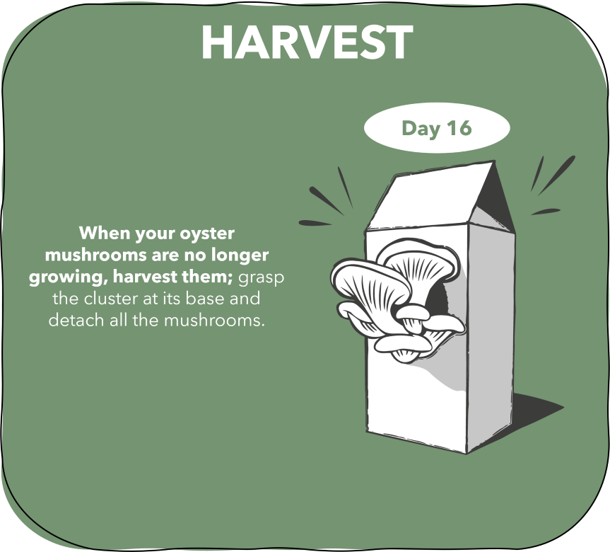 3. Pac S et M Harvest