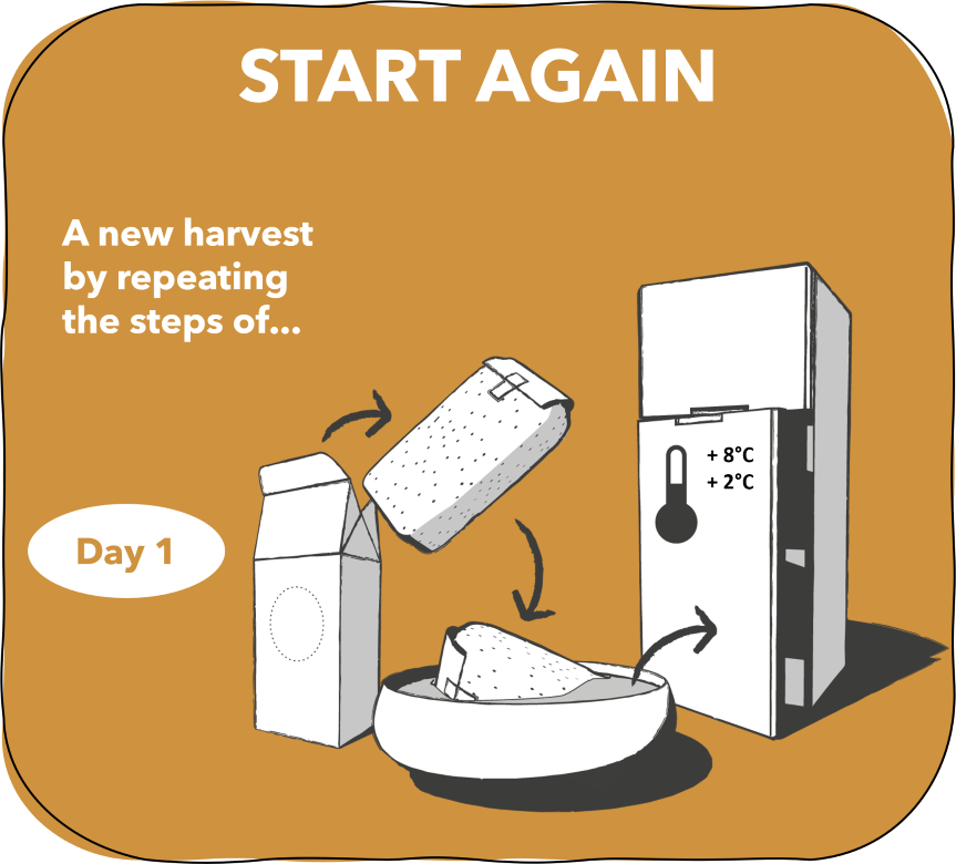 6. Start again