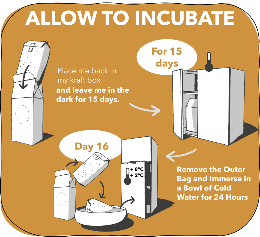 3. Incubate