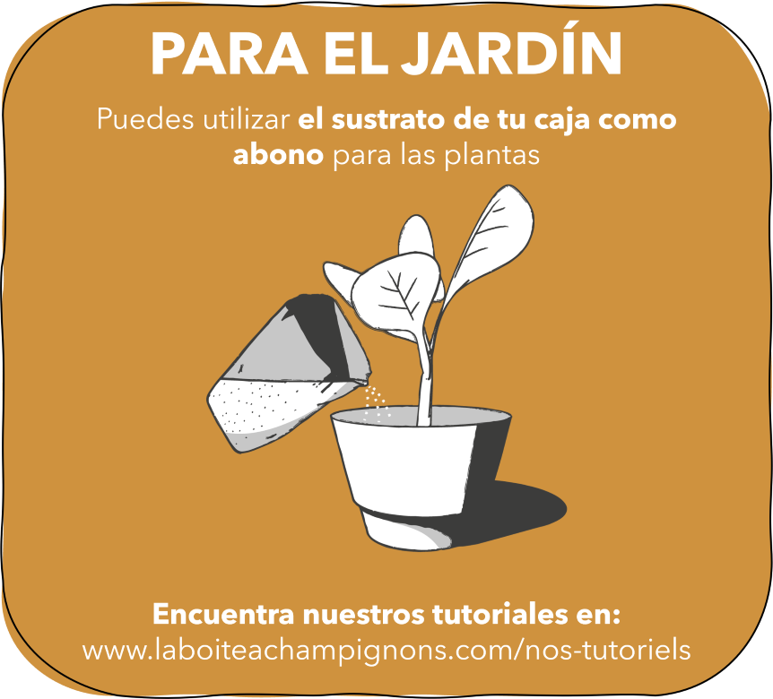 7.PARA EL JARDÍN