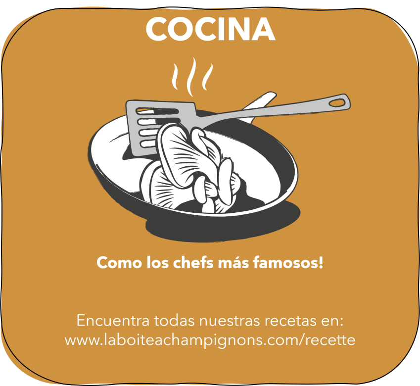 5.COCINA