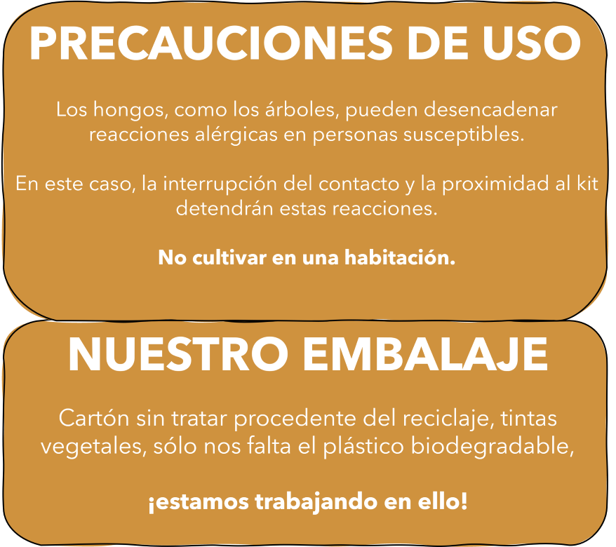 8.PRECAUCIONES DE USO