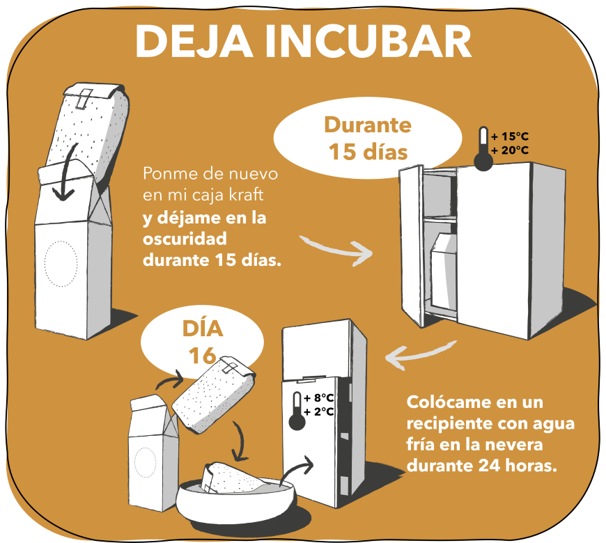 3. DEJA INCUBAR