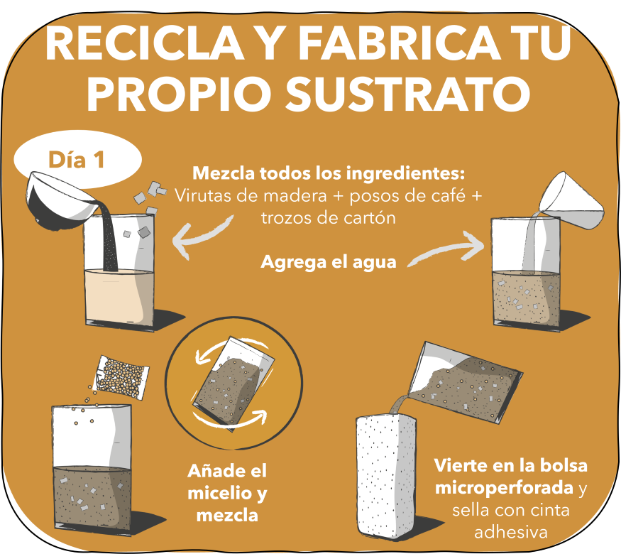 2. RECICLA Y FABRICA TU PROPIO SUSTRATO