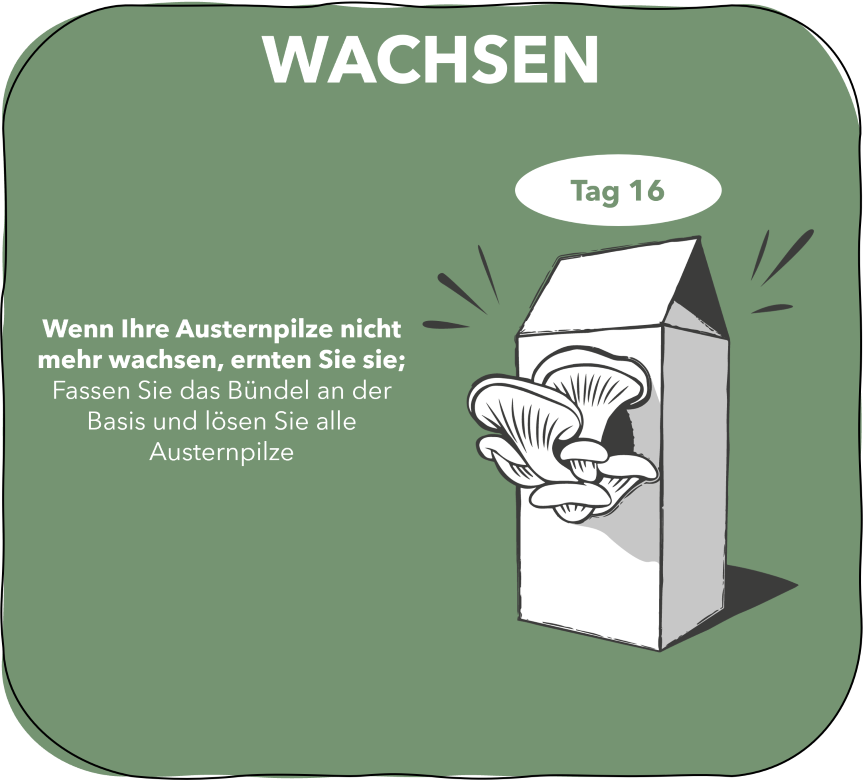 3. Pac S et M WACHSEN