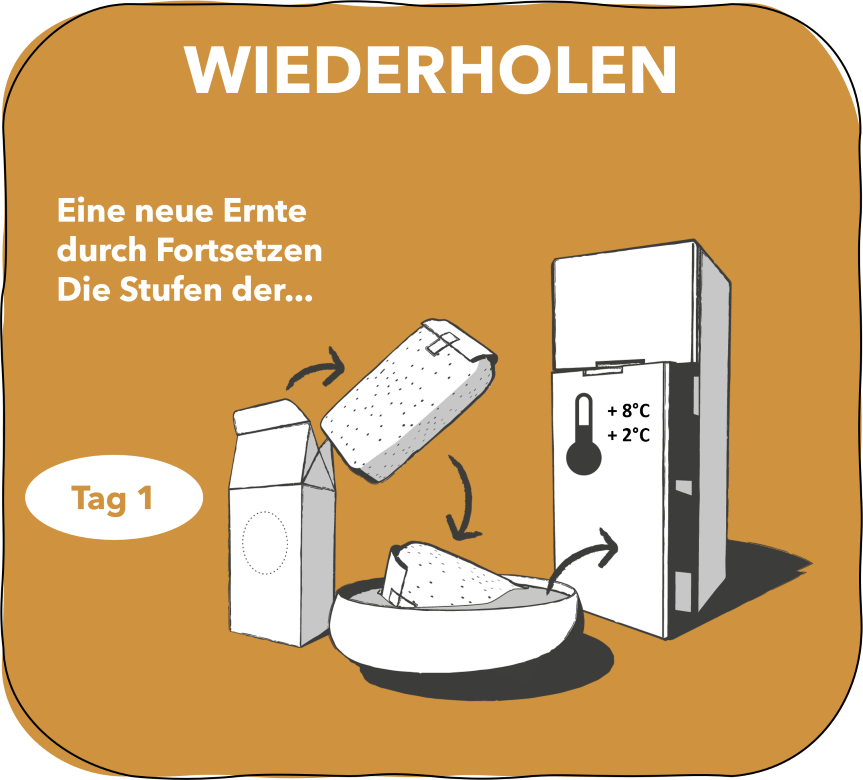 6.WIEDERHOLEN