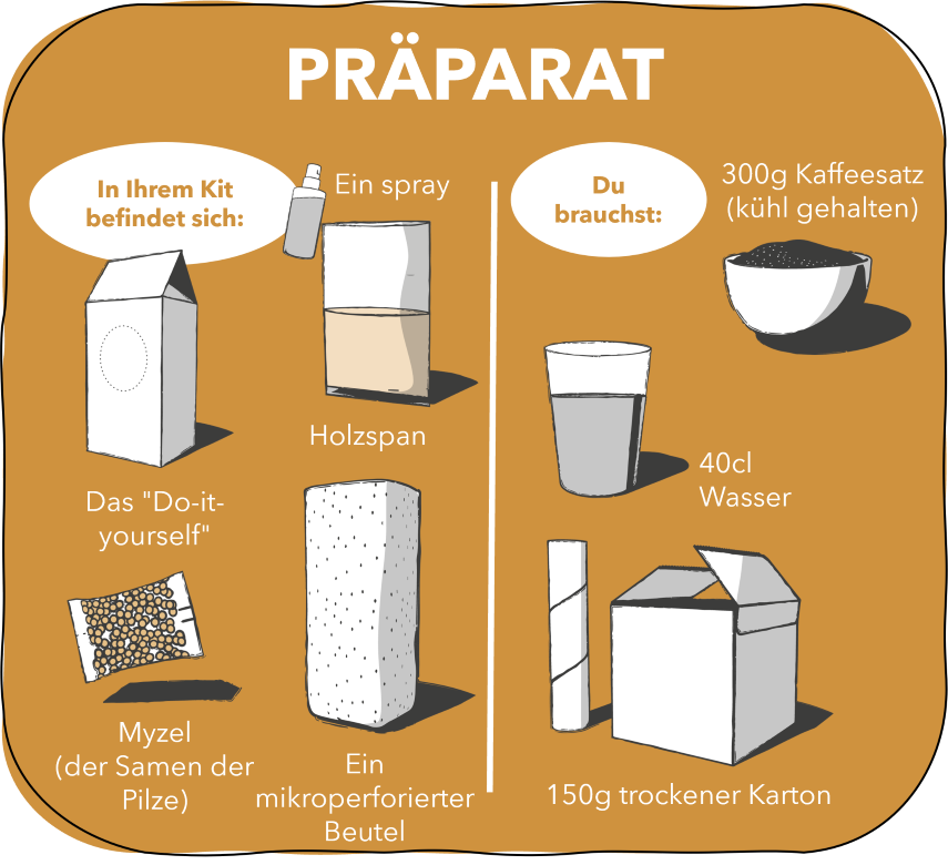 1.PRÄPARAT