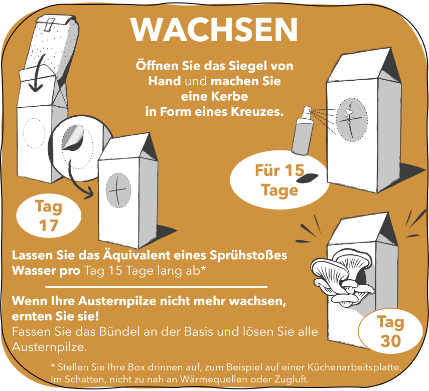 4.WACHSEN