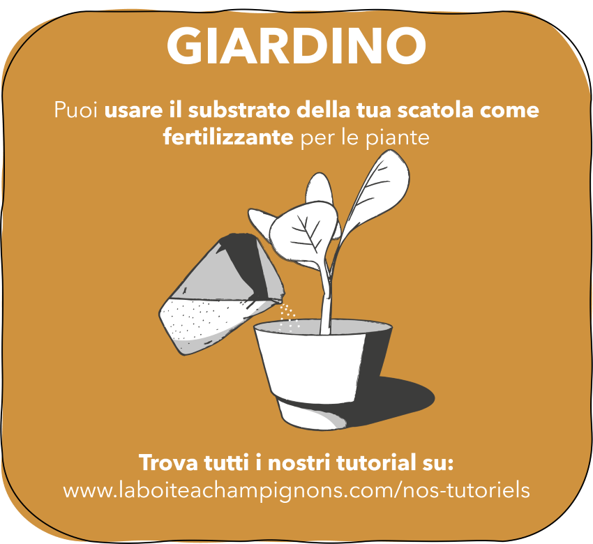 7. GIARDINO