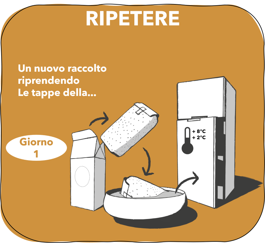 6. RIPETERE