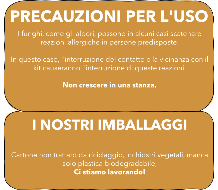 8. PRECAUZIONI PER L'USO