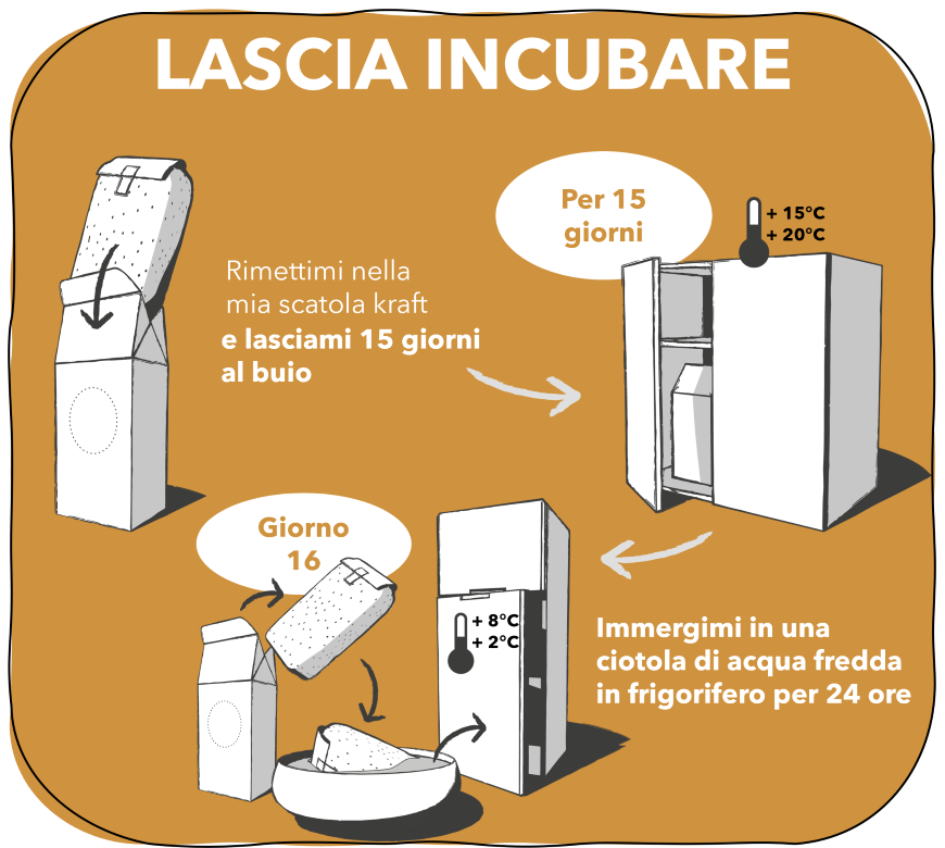 3. LASCIA INCUBARE