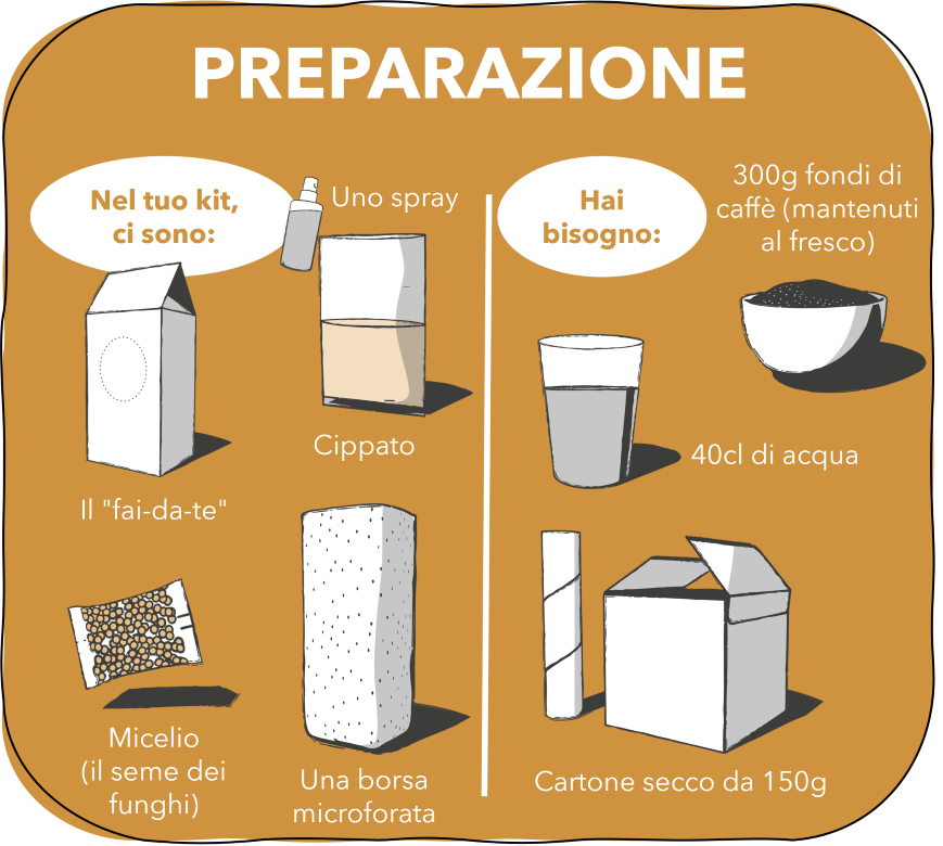 1. Preparazione