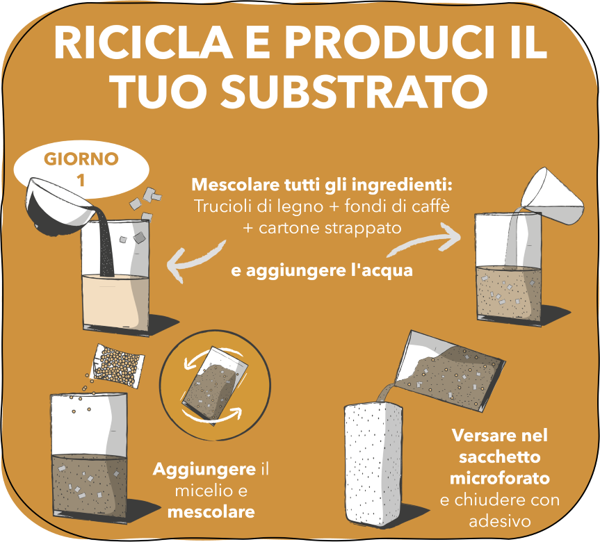 2. RICICLA E PRODUCI IL TUO SUBSTRATO