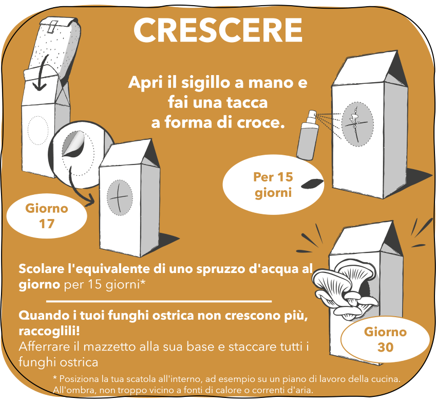 4. CRESCERE