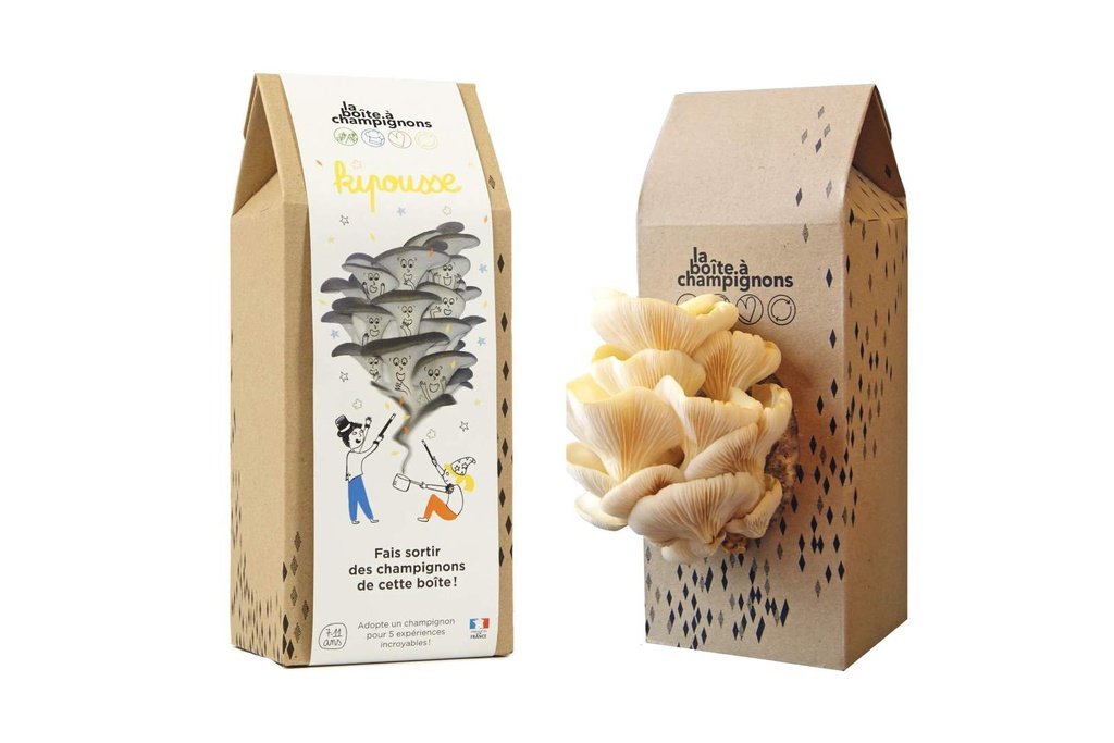 KIPOUSSE JAUNE - Boîte à champignons