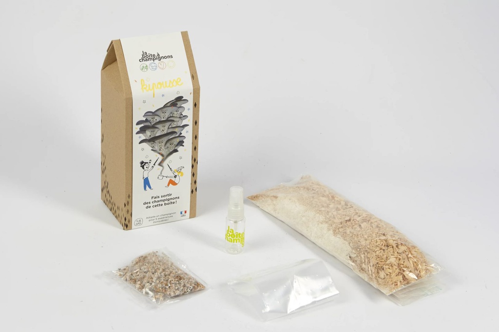 KIPOUSSE GRIS - Kit à champignons