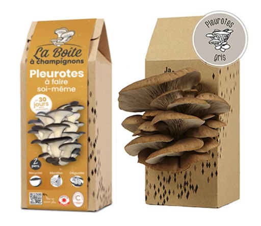 Kit culture champignons de Paris Blanc Minichamp 3 litres