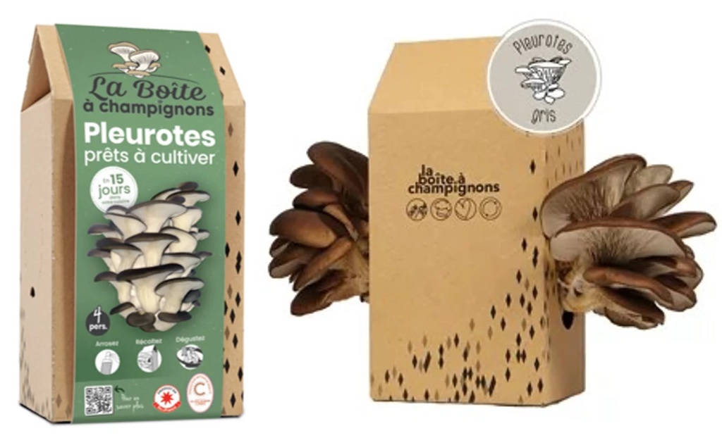 Pret a Pousser: la box pour faire pousser des champignons comestibles